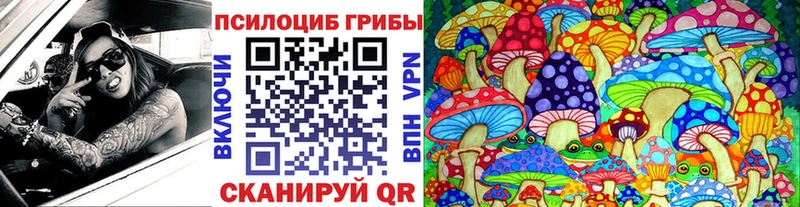 OMG ТОР  Алзамай  Галлюциногенные грибы мухоморы 